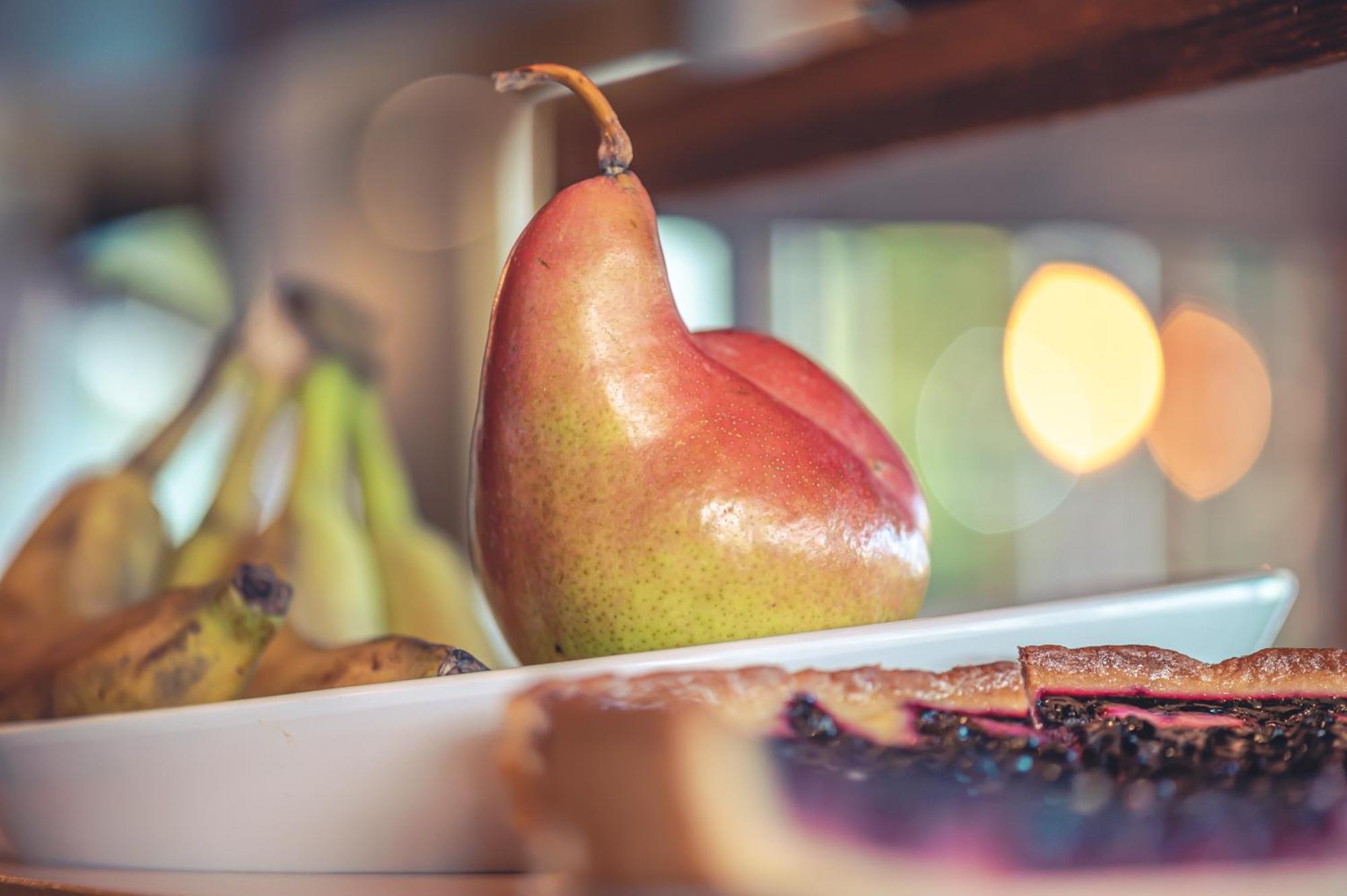 Logis Hotel Restaurant Le Plantevin Propiac Eksteriør bilde